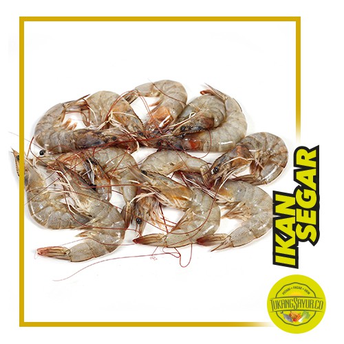 

Udang Besar / 500 gr / 12-15 ekor