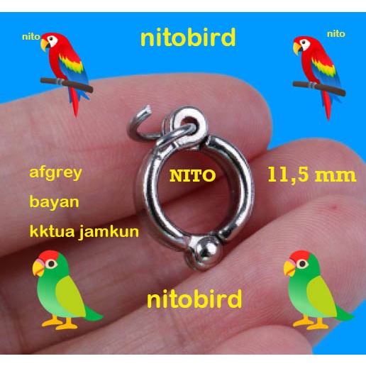 ring borgol 11,5mm afgrey nuri bayan kakatua jamkun ring kaki burung parrot parkit australia 1,15cm 
