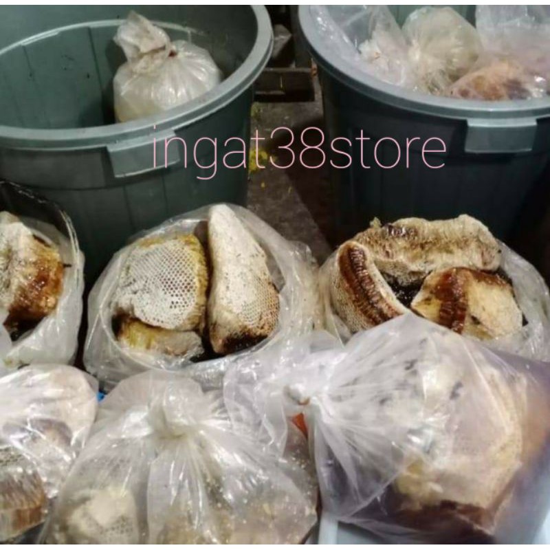 

Madu sarang hutan asli lebah apis dorsata