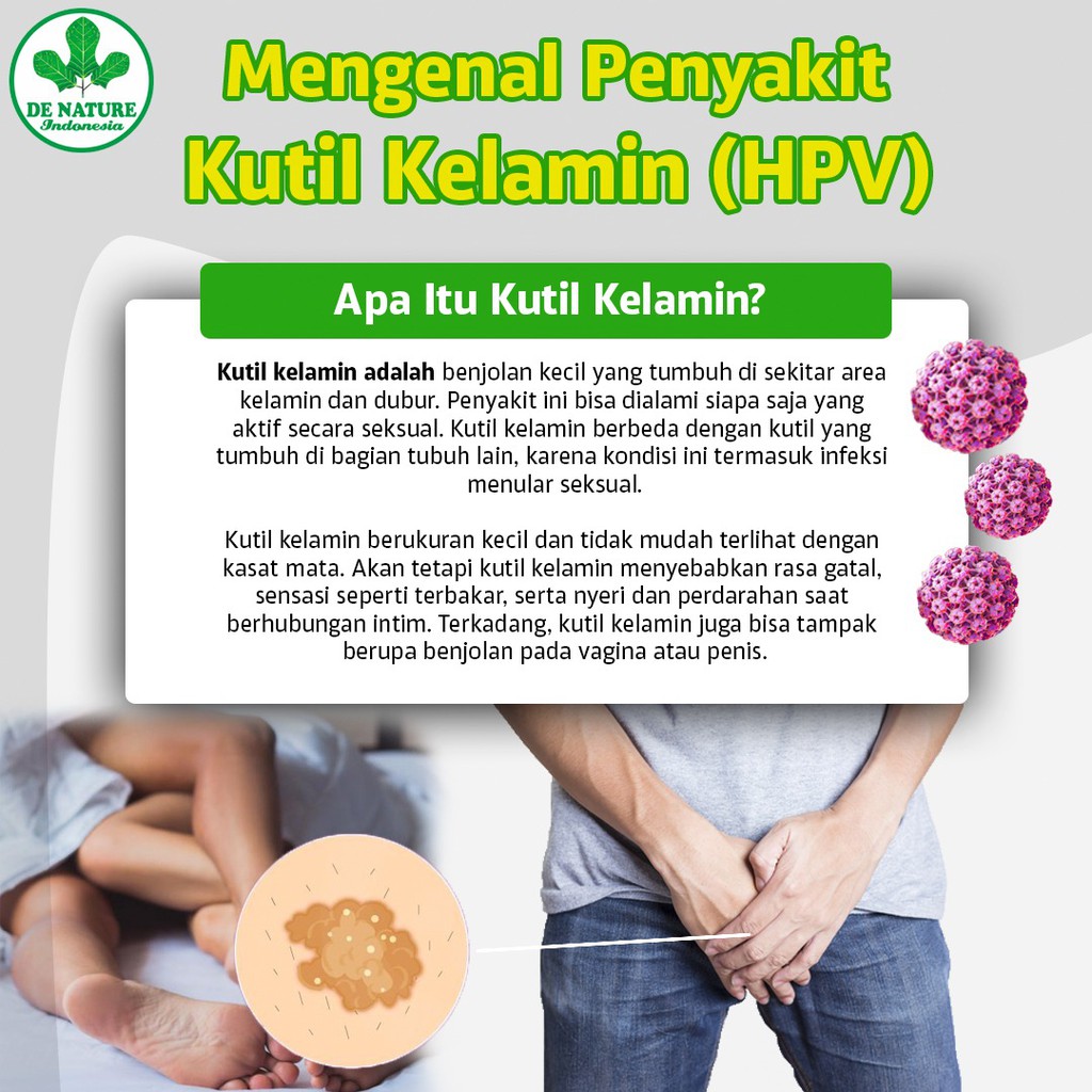 Obat Kutil Kelamin