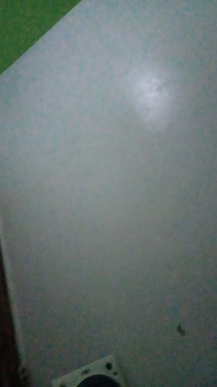 Pisau Grafting Okulasi Lipat Saku Stek Cangkok Ranting Pohon Prohex Hasston 3020-111