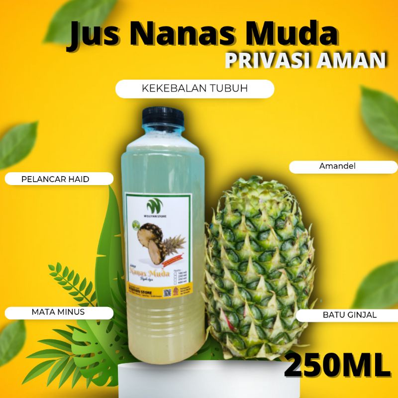 

Jus Nanas Muda Hijau Herbal Alami Siap Minum 100Ml - Asli Lereng Gunung Muria