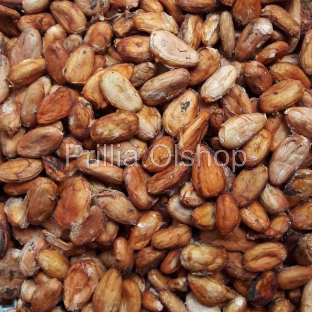 

Biji Coklat Pacitan SUPER 1Kg