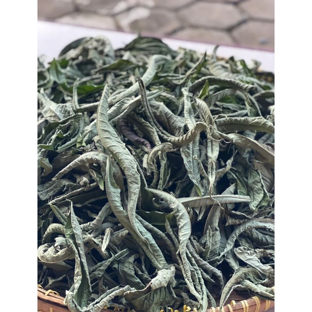 

Daun Sungkai Kering 50 gram Herbal Untuk Imunitas