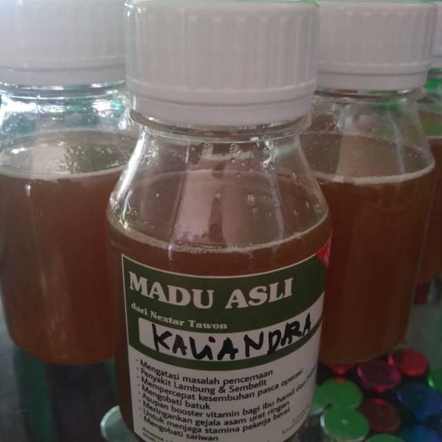 

Madu asli Kaliandra