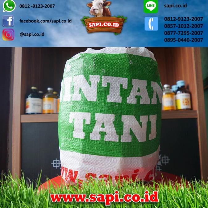 Kualitas terbaik] Bibit Rumput Odot Premium