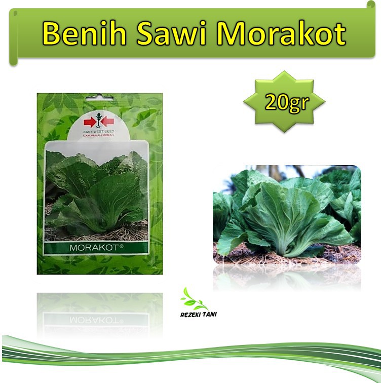 Jual Sawi Pahit Morakot 20 Gram Panah Merah Shopee Indonesia