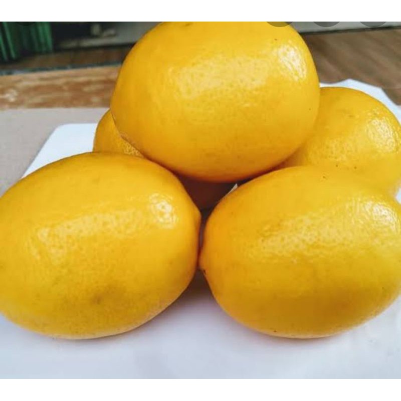 

JERUK LEMON CALIFORNIA grade A