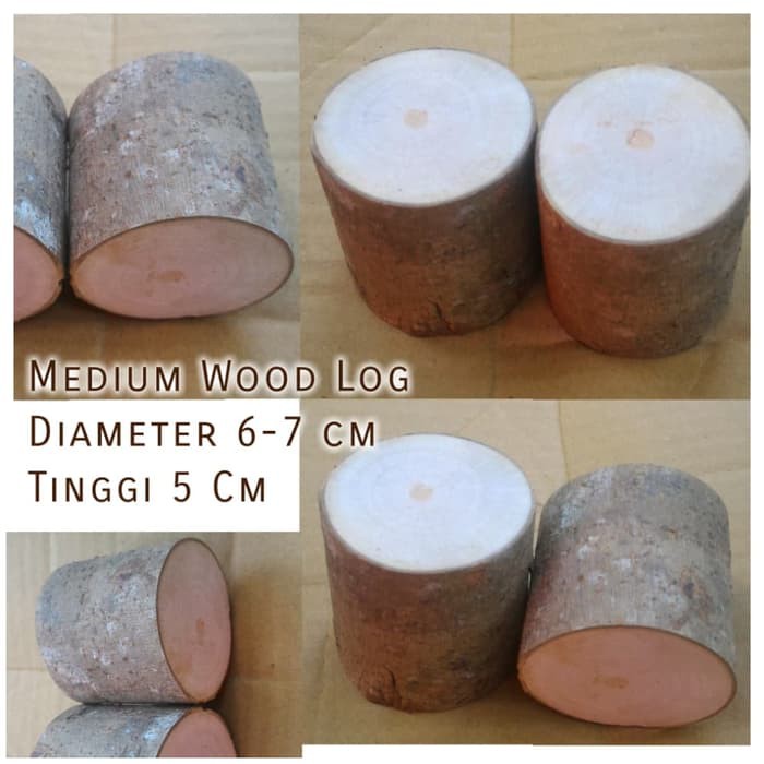 Medium Wood log tinggi 5 cm diameter 6-7 cm dekorasi craft