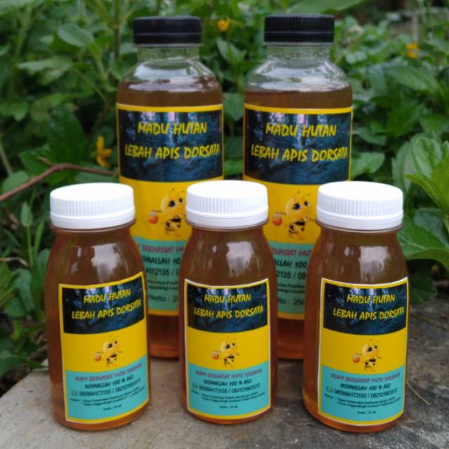 

Madu hutan murni