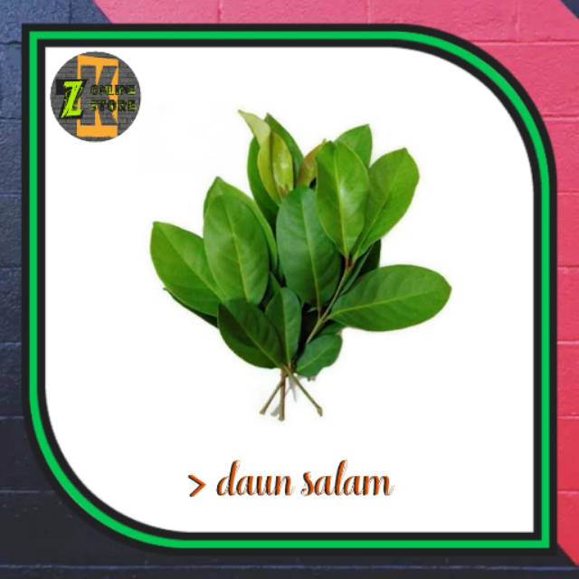 

Daun Salam (25gr)