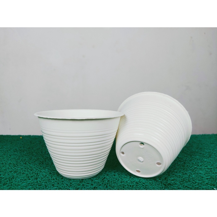 Pot Madu 10 Pot Kecil 10 Pot Benih  Warna Putih