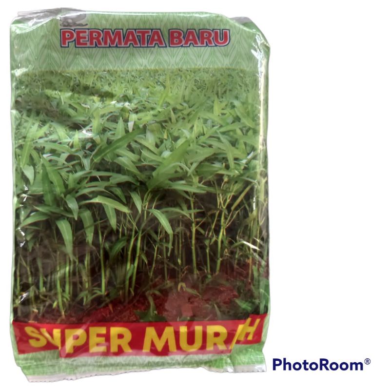 Benih Kangkung Unggul SUPER MURAH Isi 1 Kg Bibit Kangkung Biji Kangkung Bibit