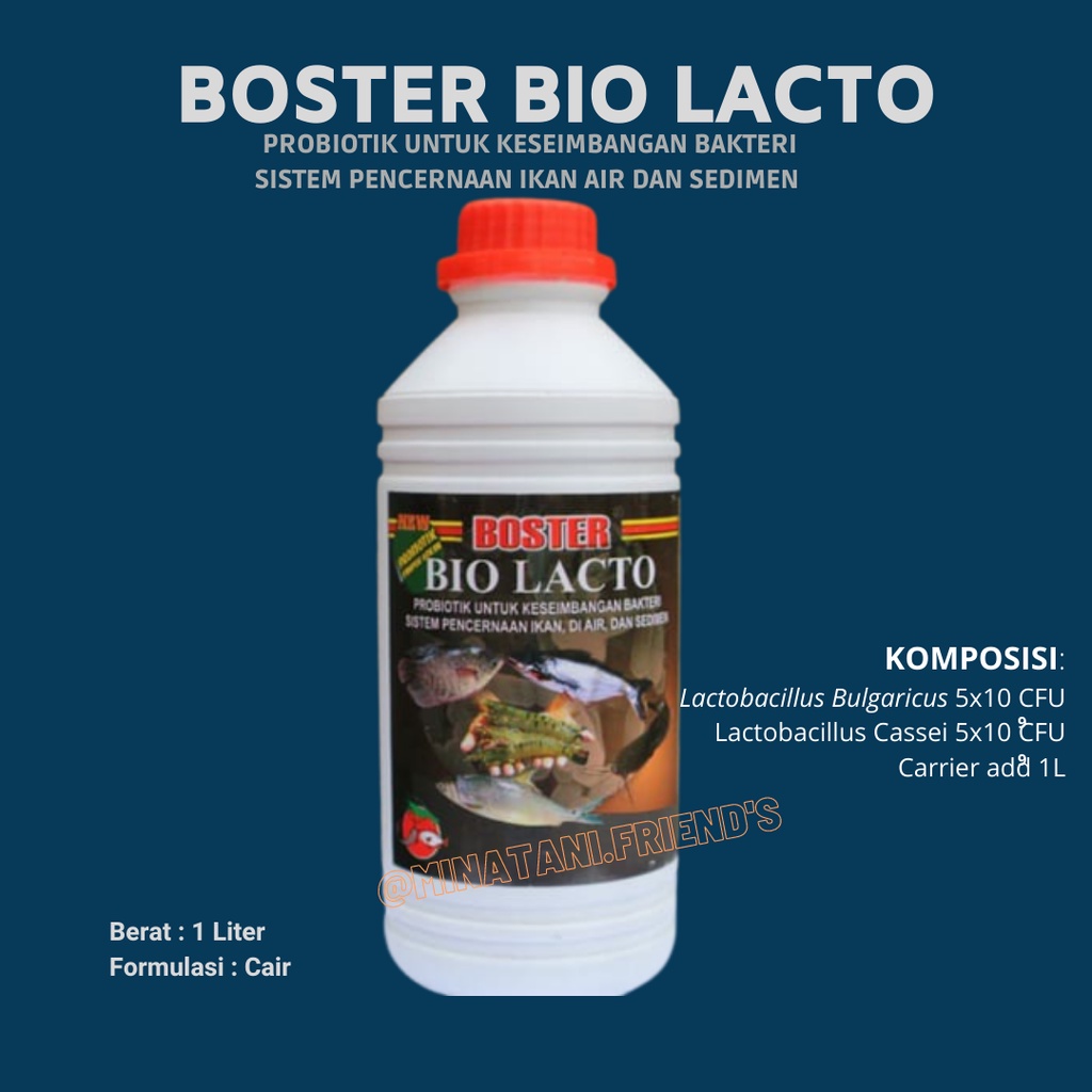 Biolacto Probiotik Lactobacillus BOSTER