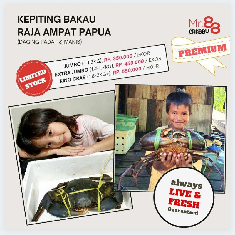 

Kepiting Hidup EXTRA JUMBO Premium, dari Raja Ampat Papua. Dijual Per EKOR.