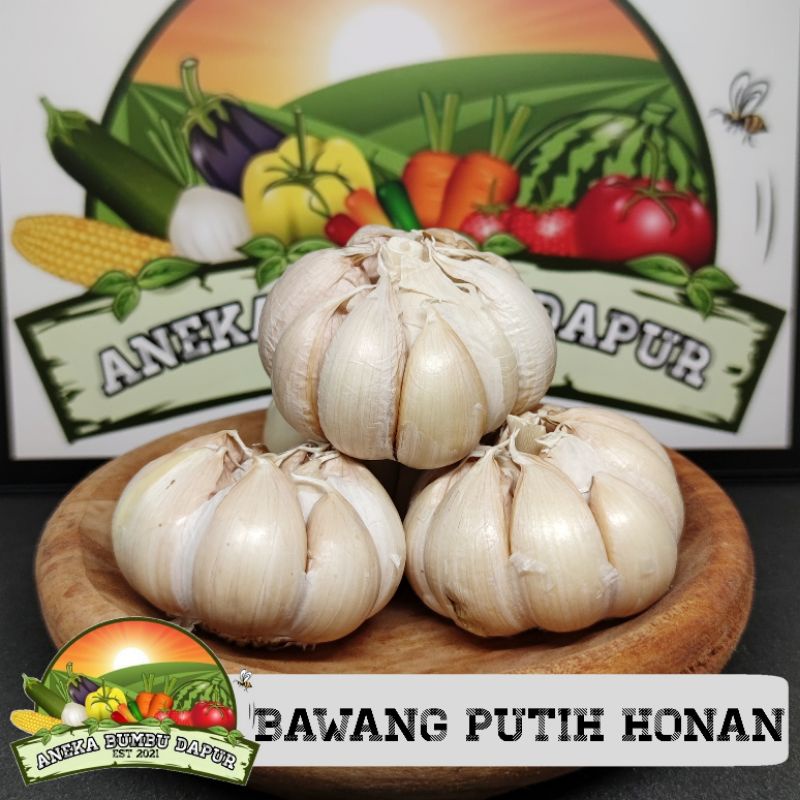

bawang putih honan