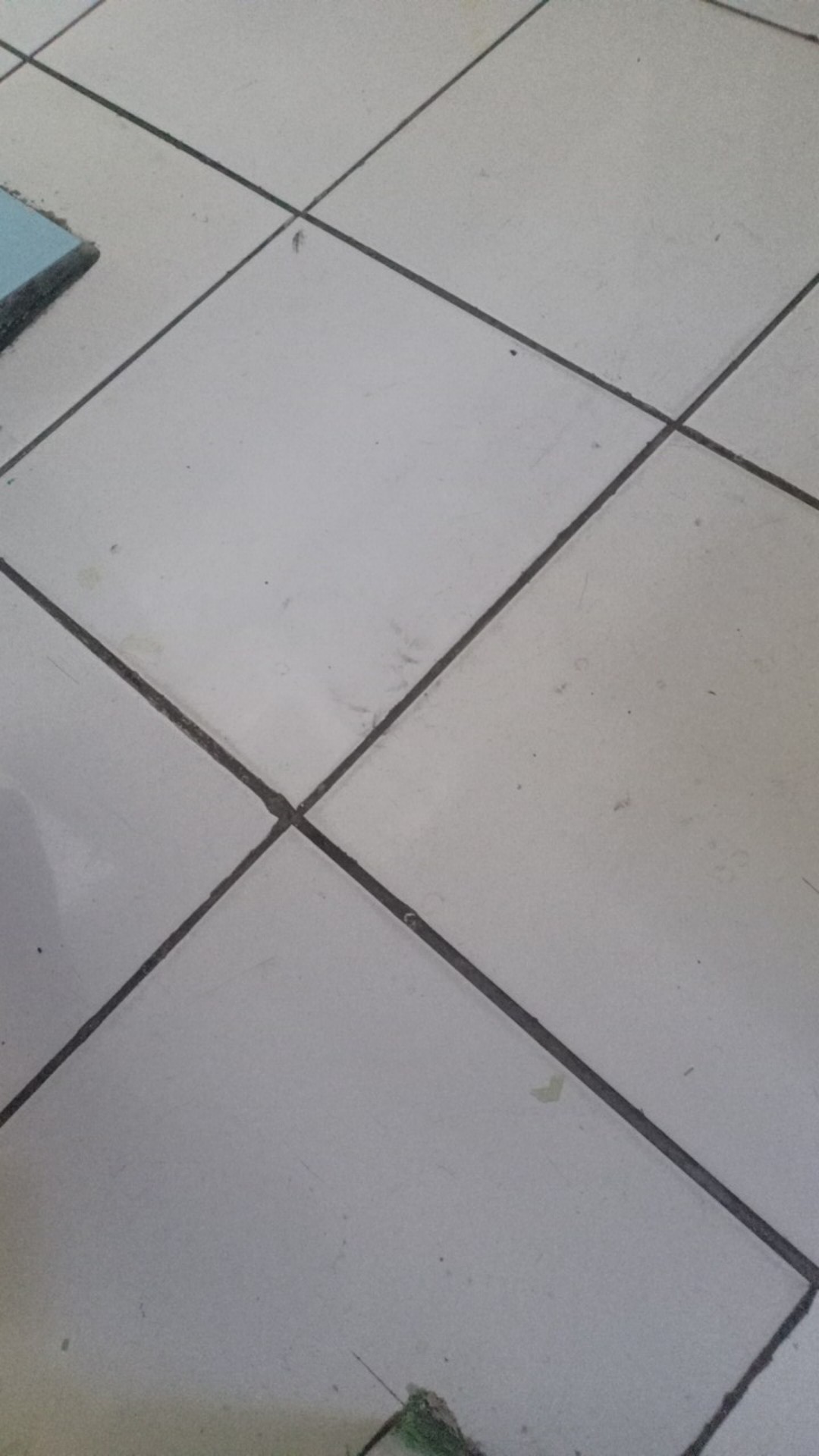 Plastik Ulir Plastik Jelly Ulir Plastik Pudot Ulir Panjang