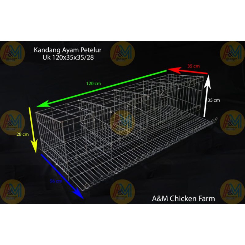 kandang ayam petelur 4 pintu(isi 8 ekor ayam)