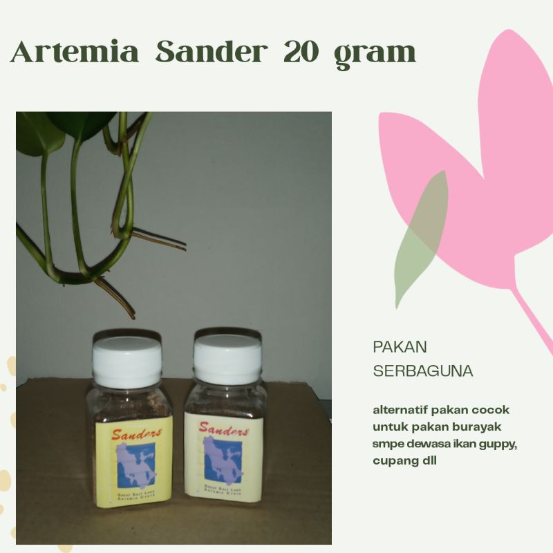 Artemia Sanders 20 gram