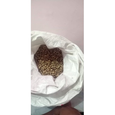 

KAPULAGA KERING JAWA 250 GRAM BERSIH BERKUALITAS