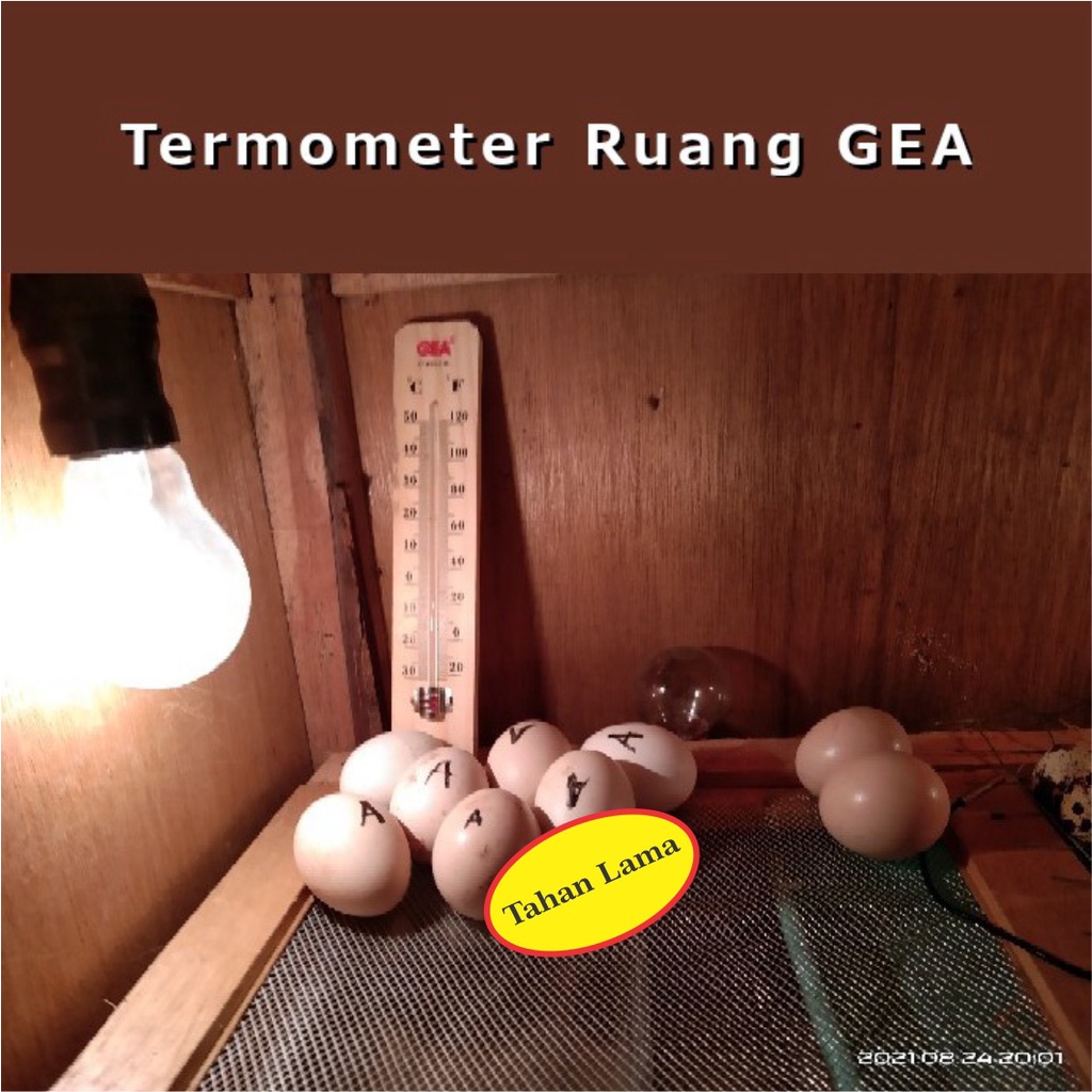 Thermometer Wall Kayu GEA Termometer Dinding suhu ruangan Onemed Penetas Telur Kandang Ayam