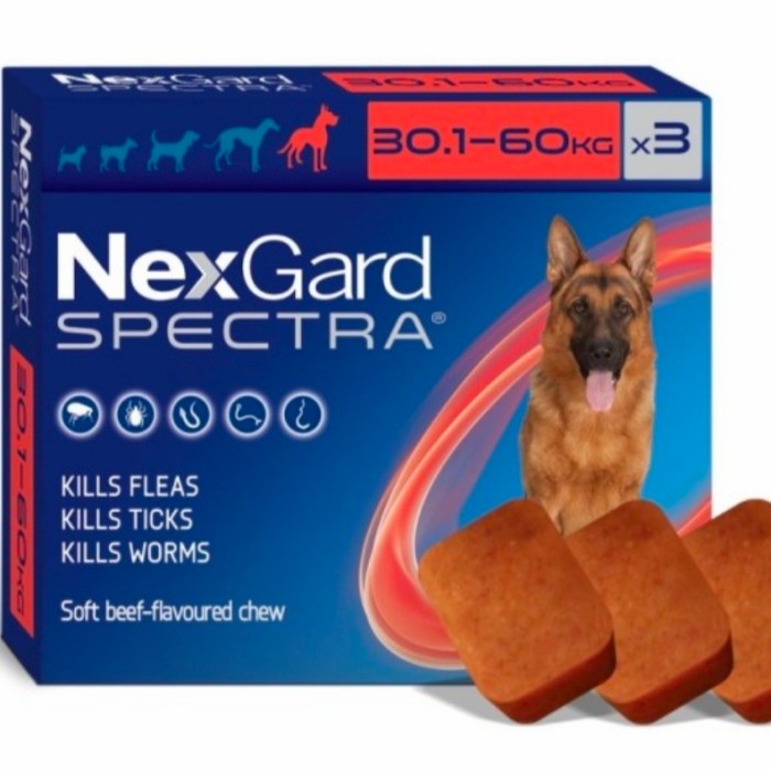 Nexgard SPECTRA size XL - Obat Kutu Anjing plus Obat cacing