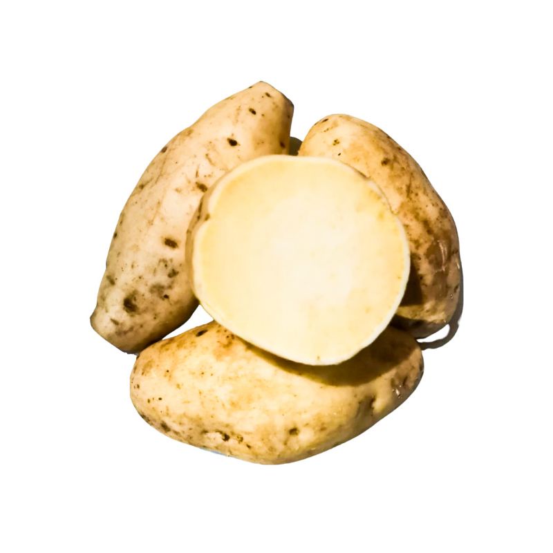 

Ubi Putih 1kg