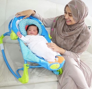 Sugar Baby Premium Rocker 10 in 1/ Rocking Chair / Bouncer