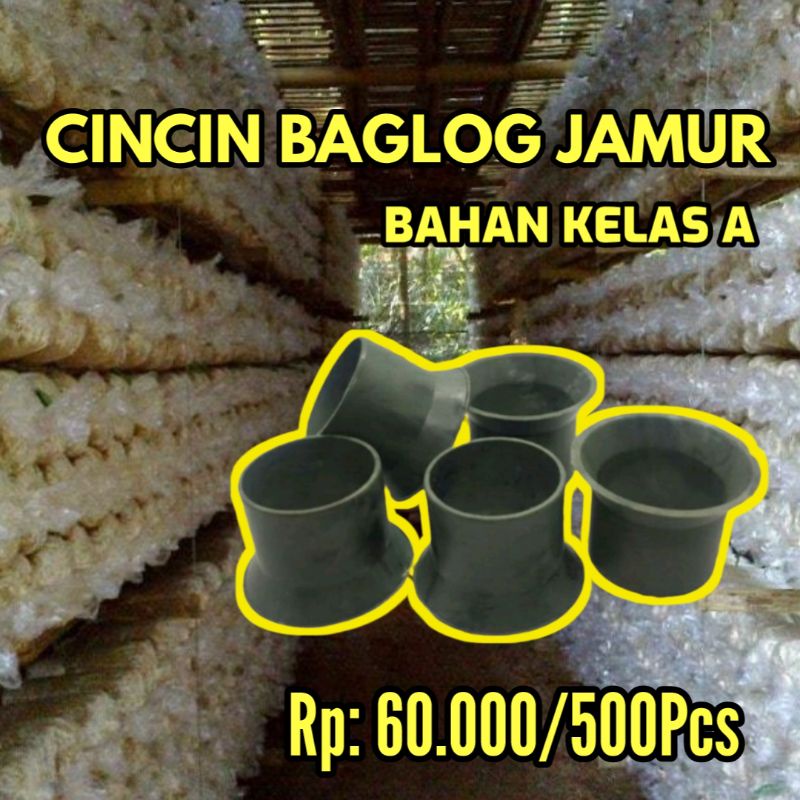 RING BAGLOG JAMUR TIRAM / RING DAN CINCIN BUDIDAYA JAMUR TIRAM / RING BAGLOG JAMUR KLAS A / JAMUR TI