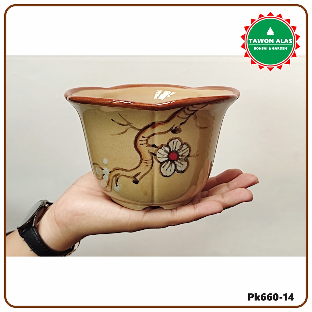Pot Bonsai Keramik Bunga Unik