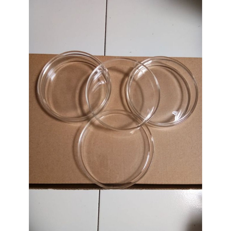Cawan Petri Kaca/Petridish