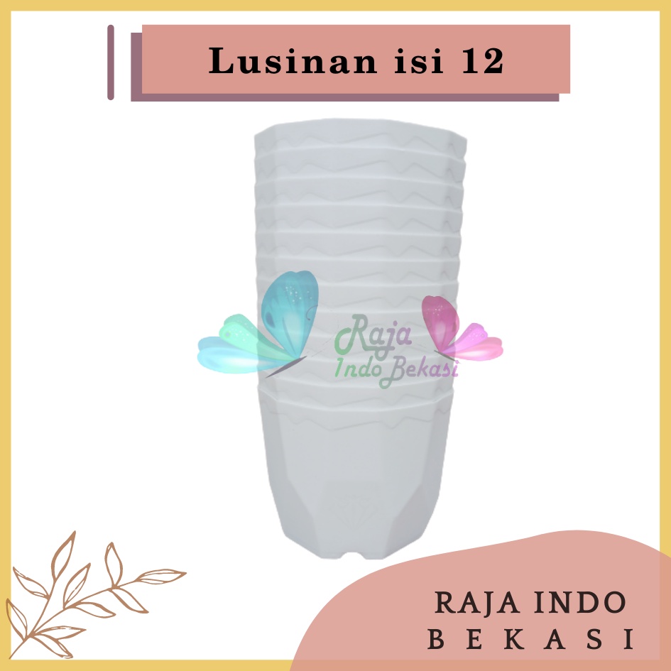 Lusinan Isi 12 Pcs Pot Permata 12 Putih Diameter 10,5cm Pot Kaktus Mini Lucu Murah Bkn Pot Tawon 10 12