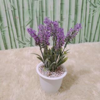 Rangkaian Bunga Lavender Daun Plastik Shopee Indonesia