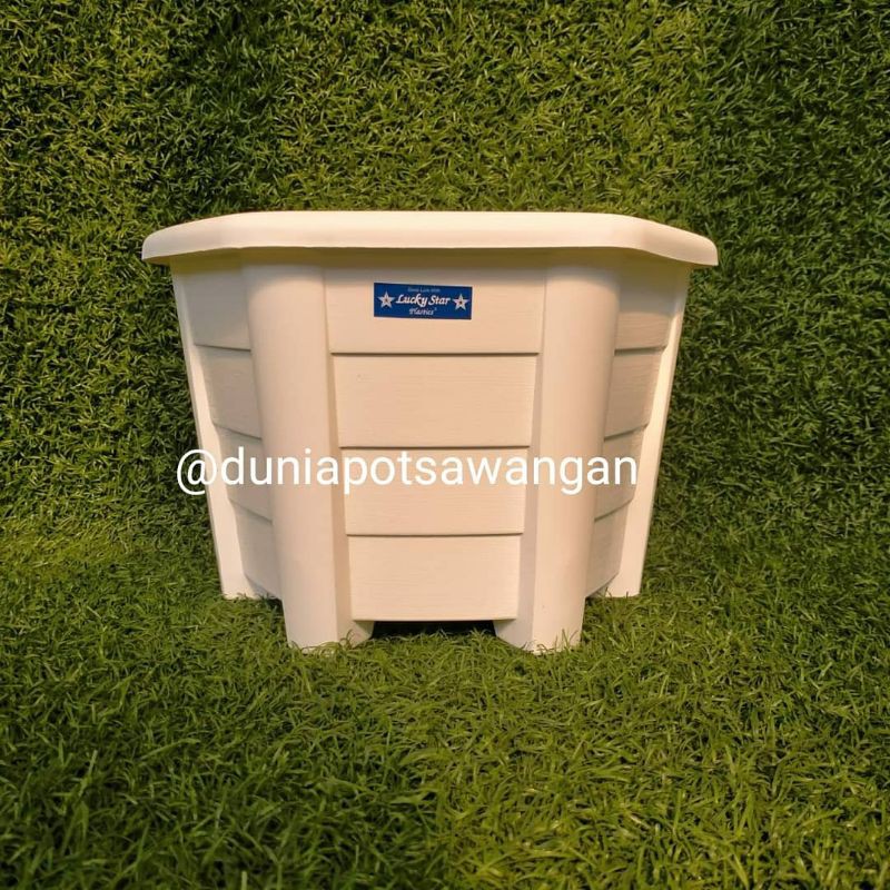 Pot Segi6 Lucky Star Camelia 5575