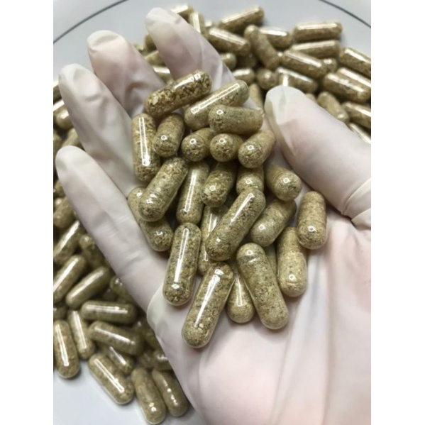 MPOT AYAM PUTIH KAPSUL ORIGINAL