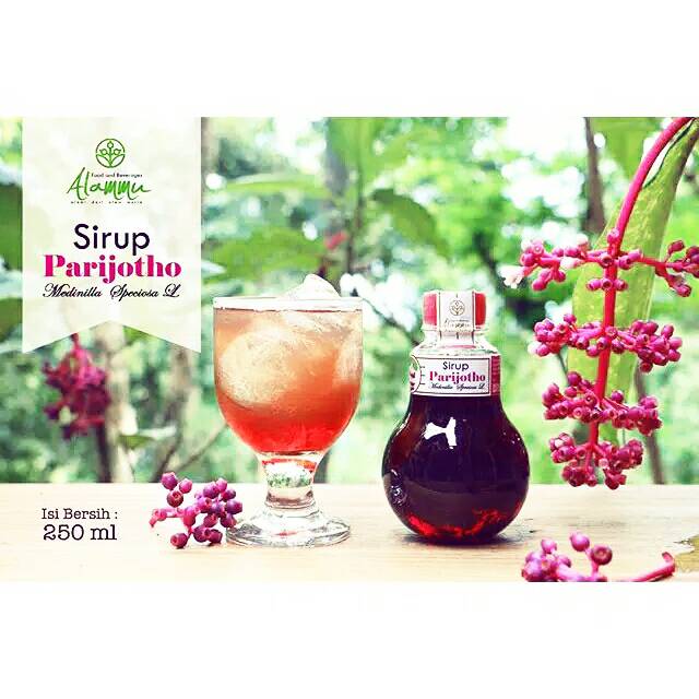 

sirup parijoto
