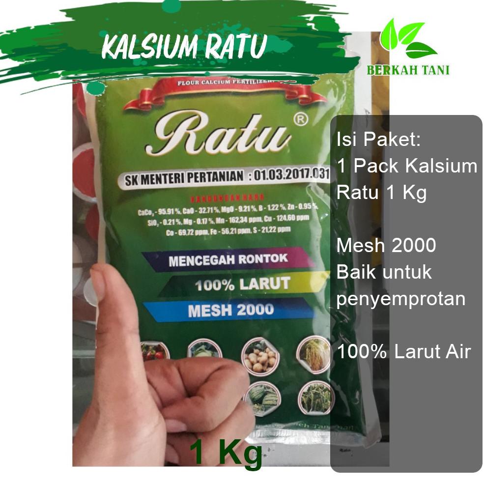[KODE 77] Kalsium Calsium Super 1 Kg Cap Ratu Mesh 4000
