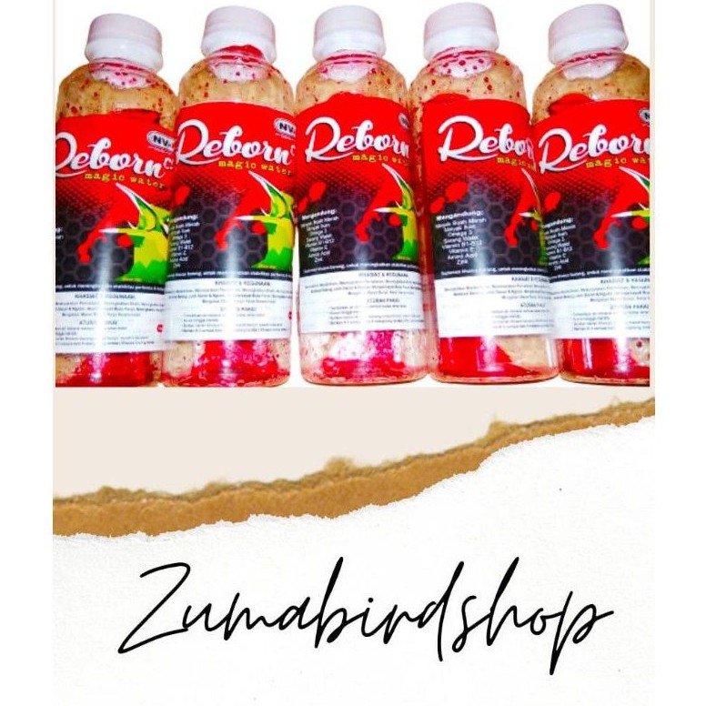 DOPING PLECI KERJA INSTAN REBORN MAGIC WATER NV-88 FORMULA NV88