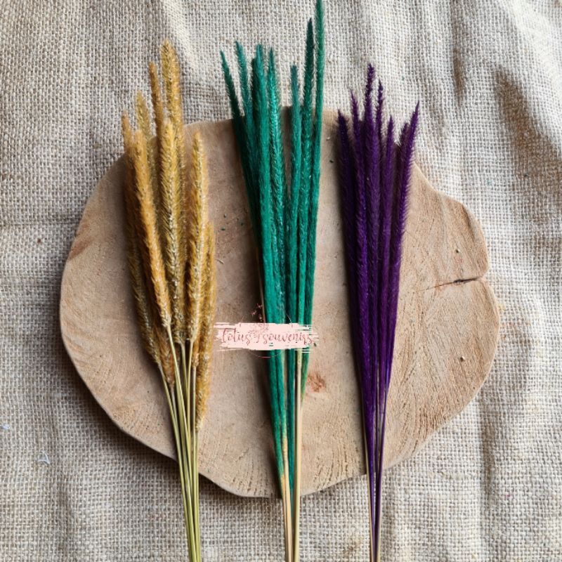 (10 tangkai) Bunga kering sataria warna | bunga kering selancur warna | sataria dried flowers