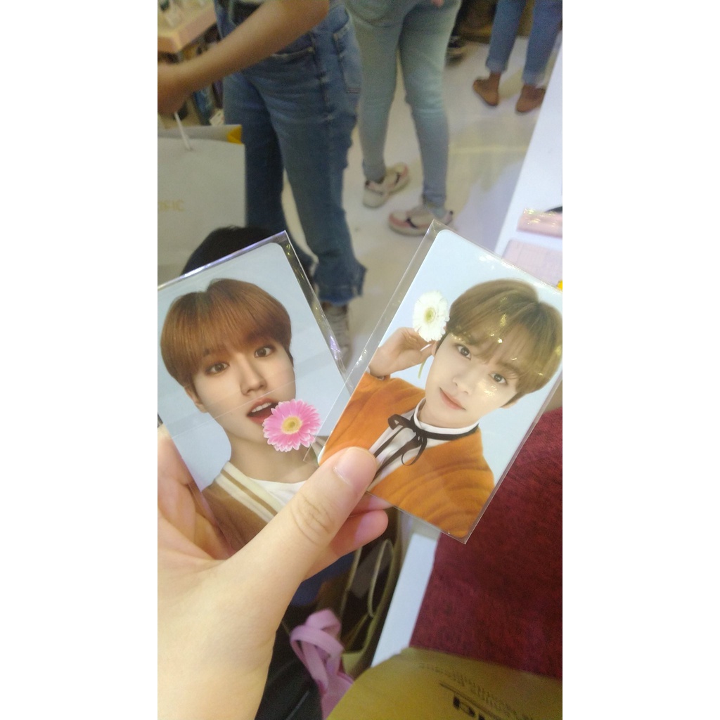 han nacific r10 photocard pc stray kids skz