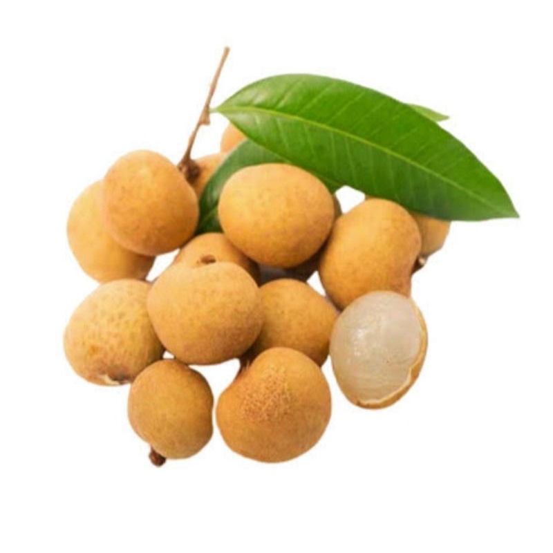 

Kelengkeng Segar 500 gr Murah Di Jamin