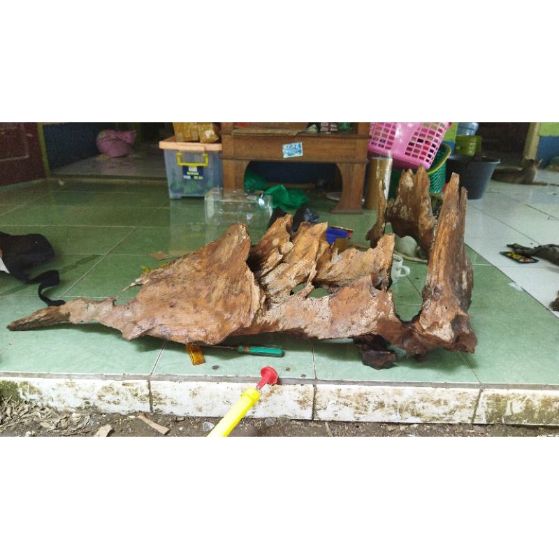kayu rentek aquascape size besar