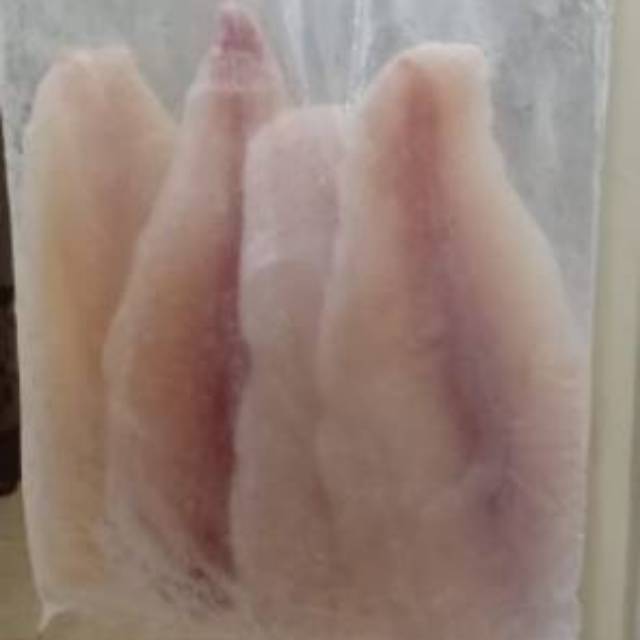 

Ikan Dori