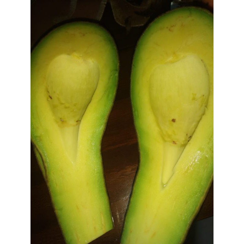 

alpukat mentega