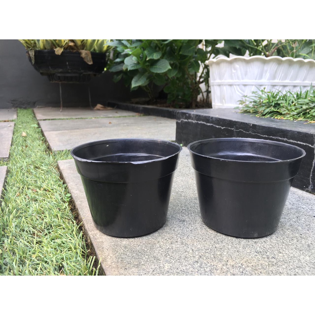 Pot Bunga Murah/ Pot Tanaman / Pot  Plastik hitam uk 10 cm