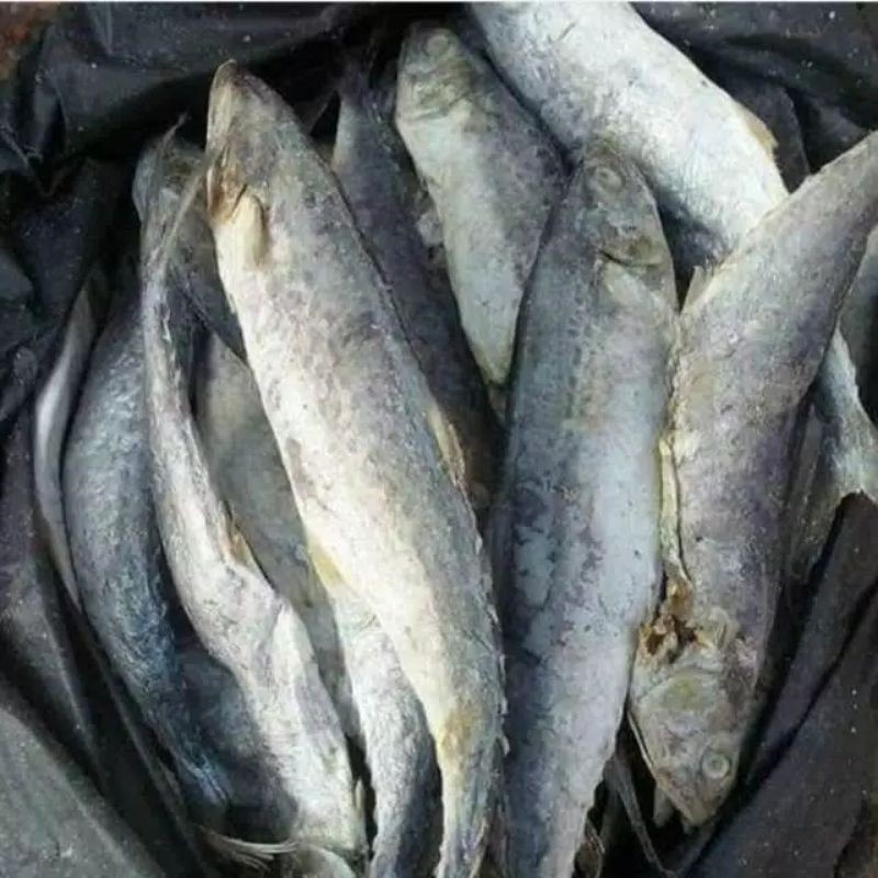 

ikan asin tenggiri 500gram