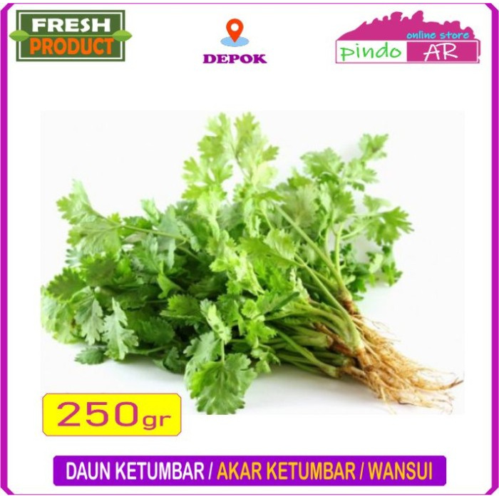 

DAUN KETUMBAR / AKAR KETUMBAR / DAUN WANSUI 250 GRAM - 250 GRAM