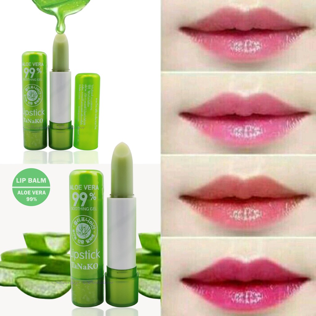 Tanako Lip Balm Aloe Vera 99% ( Bisa ECER atau GROSIR)