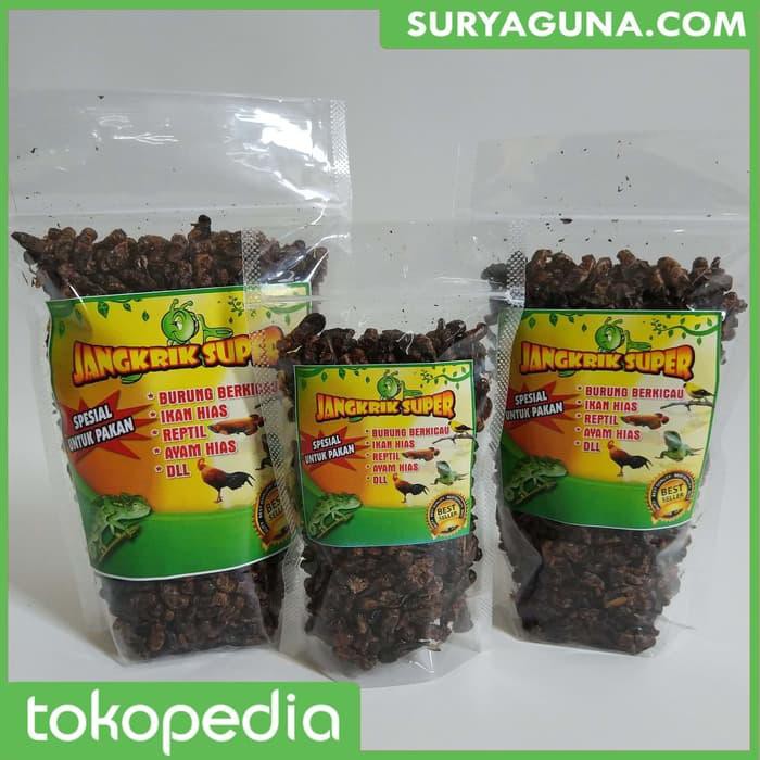 

Jual Jangkrik Kering Super