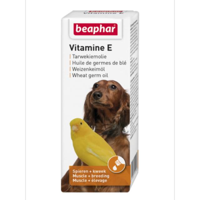 Jual Beaphar Vitamin E Wheat Germ Oil 100ml For All Bird Pigeon Dog Indonesia Shopee Indonesia